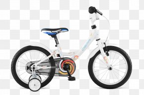 Bicycle - La Dolce Velo Bicycle Shop Balance Bicycle Training Wheels PNG
