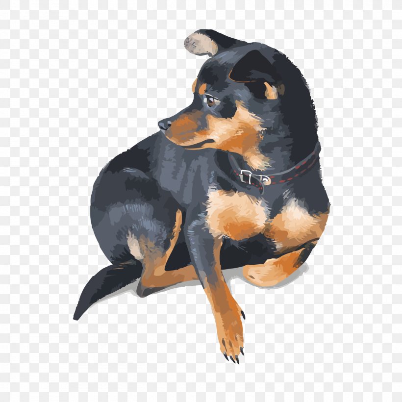 Miniature Pinscher Rottweiler Pet, PNG, 1500x1500px, Miniature Pinscher, Adobe Systems, Carnivoran, Dog, Dog Breed Download Free