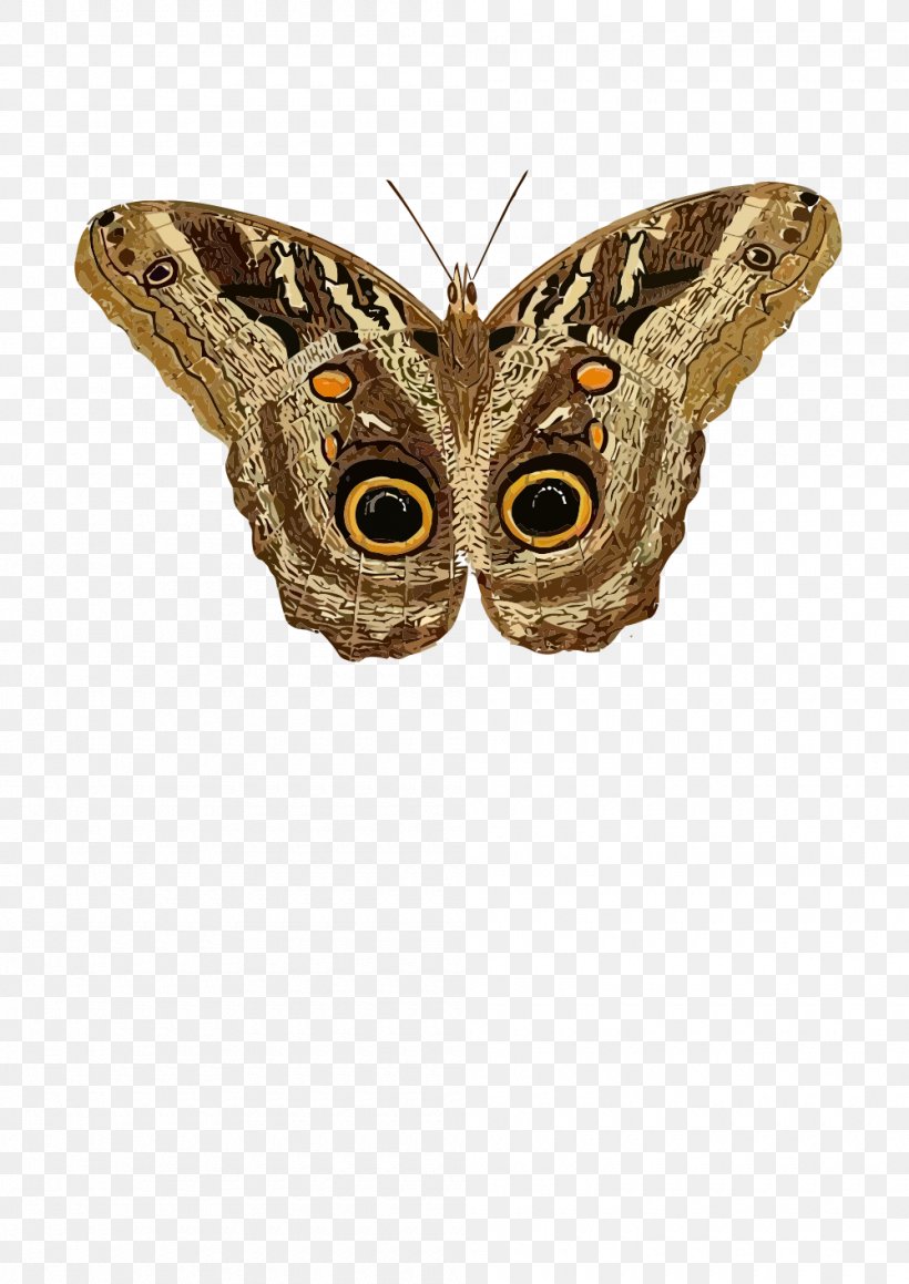 Moth Butterfly Clip Art, PNG, 1000x1414px, Moth, Arthropod, Brush Footed Butterfly, Butterfly, Cabbage Moth Download Free