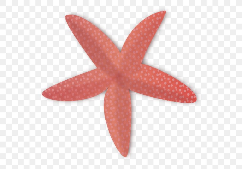 Pink Starfish Marine Invertebrates, PNG, 600x573px, Pink, Marine Invertebrates, Starfish Download Free