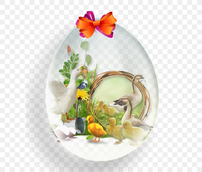 Plate Porcelain Still Life Photography Flowerpot, PNG, 609x700px, Plate, Dishware, Flower, Flowerpot, Photography Download Free