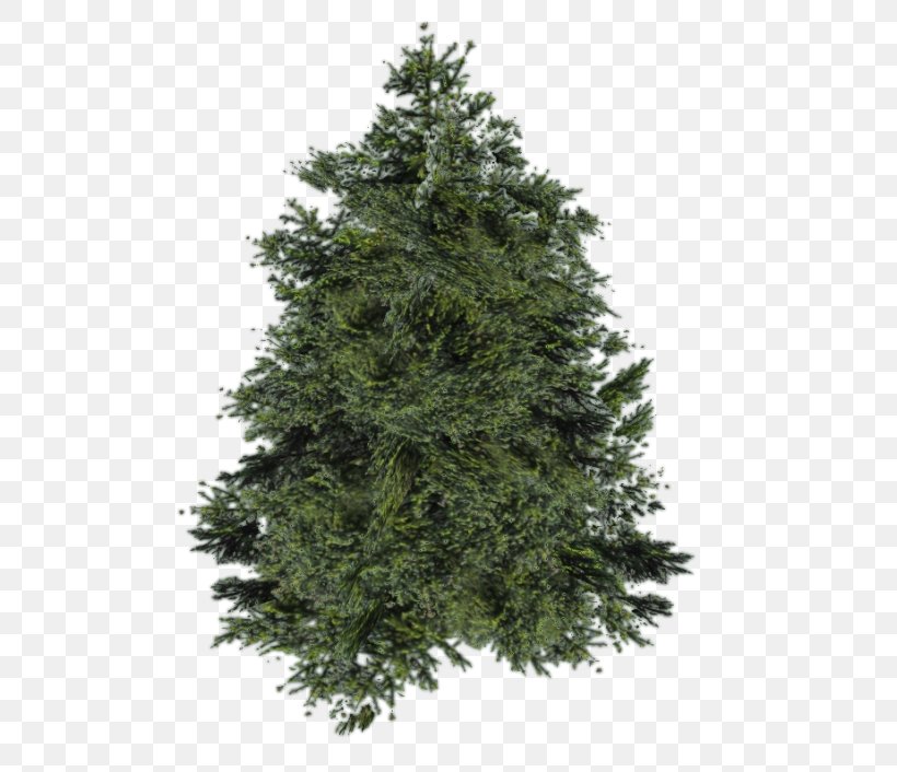 Balsam Fir Artificial Christmas Tree Pine Cedar, PNG, 600x706px, Balsam Fir, Artificial Christmas Tree, Balsam Hill, Biome, Cedar Download Free