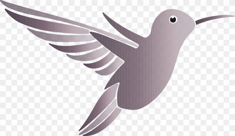 Hummingbird PNG