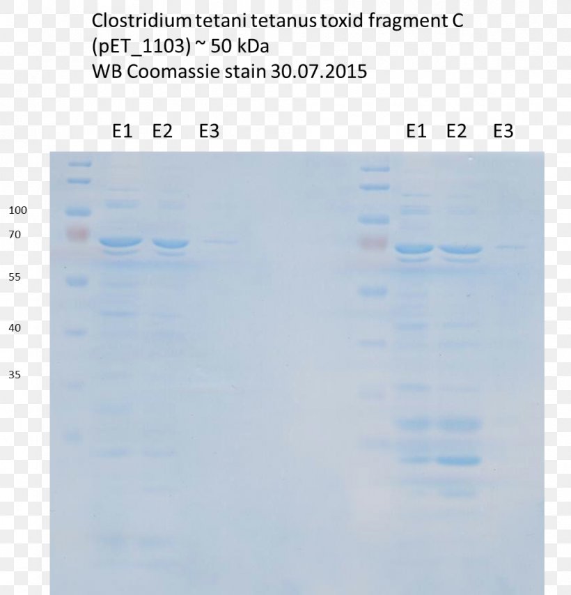 Screenshot Water Line Sky Plc, PNG, 1009x1052px, Screenshot, Blue, Diagram, Document, Number Download Free