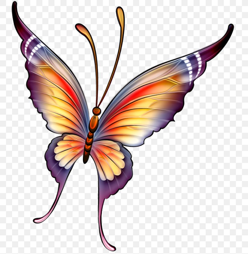 Butterfly Painting Color Clip Art, PNG, 758x842px, Butterfly, Arthropod, Blue, Brush Footed Butterfly, Color Download Free