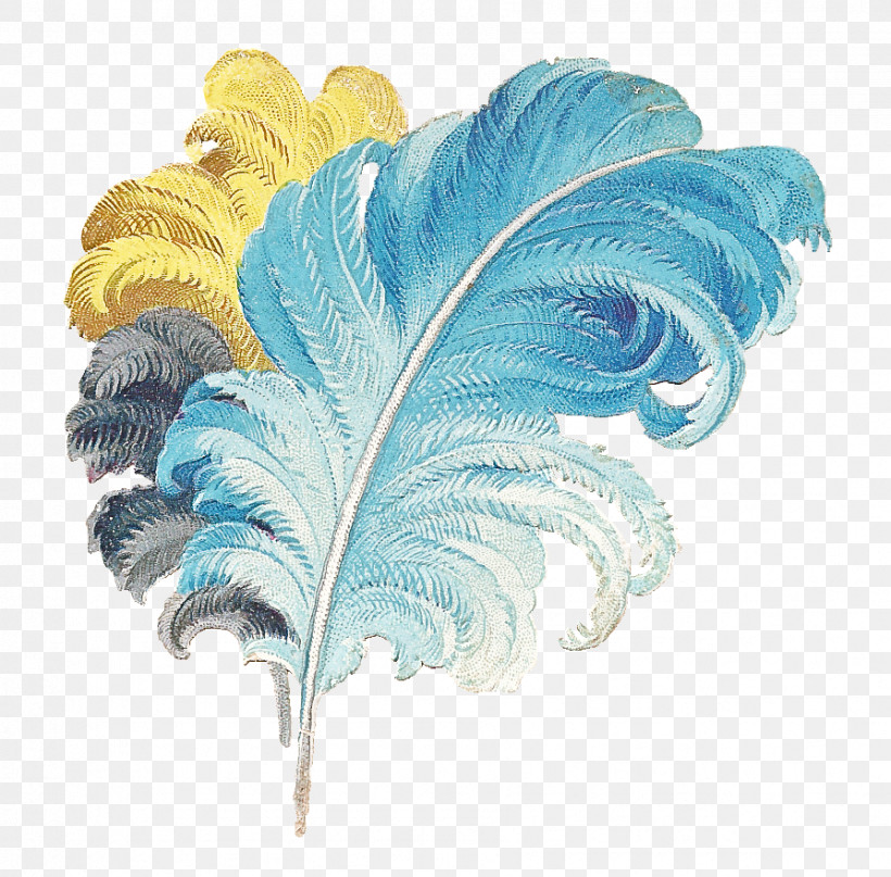Feather, PNG, 894x880px, Feather, Aqua, Flower, Leaf, Plant Download Free