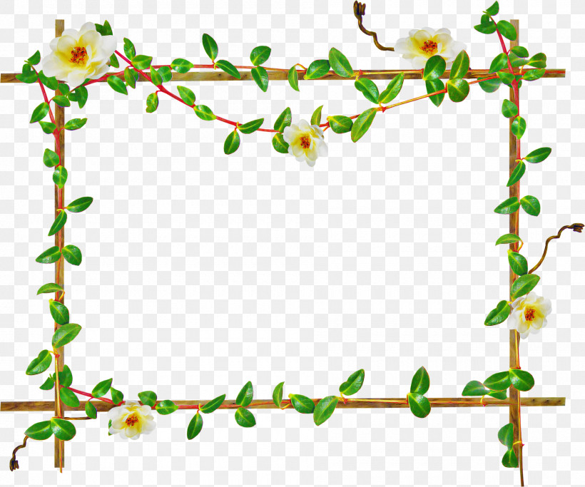 Picture Frame, PNG, 1900x1583px, Picture Frame, Bamboo, Film Frame, Flower, Ornament Download Free