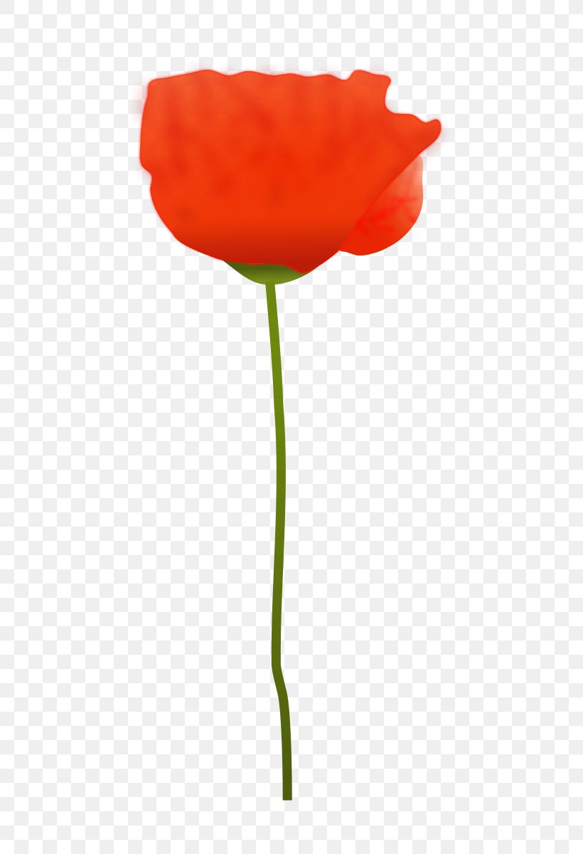 Remembrance Poppy Flower Clip Art, PNG, 525x1200px, Poppy, California Poppy, Common Poppy, Coquelicot, Cut Flowers Download Free