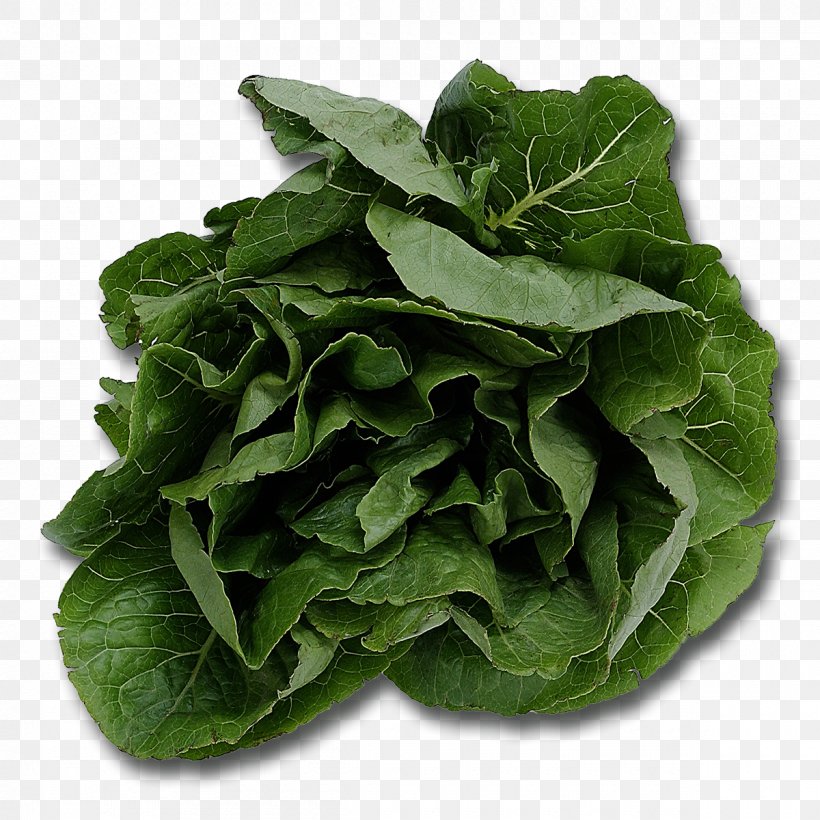 Spinach Salad Leaf Vegetable Food Cooking, PNG, 1200x1200px, Spinach, Bolting, Chard, Choy Sum, Collard Greens Download Free