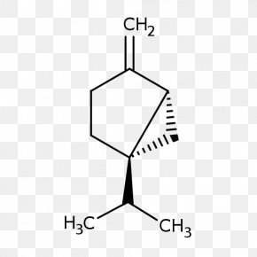 Laurus Nobilis - Geraniol Nerol Monoterpene Tree PNG