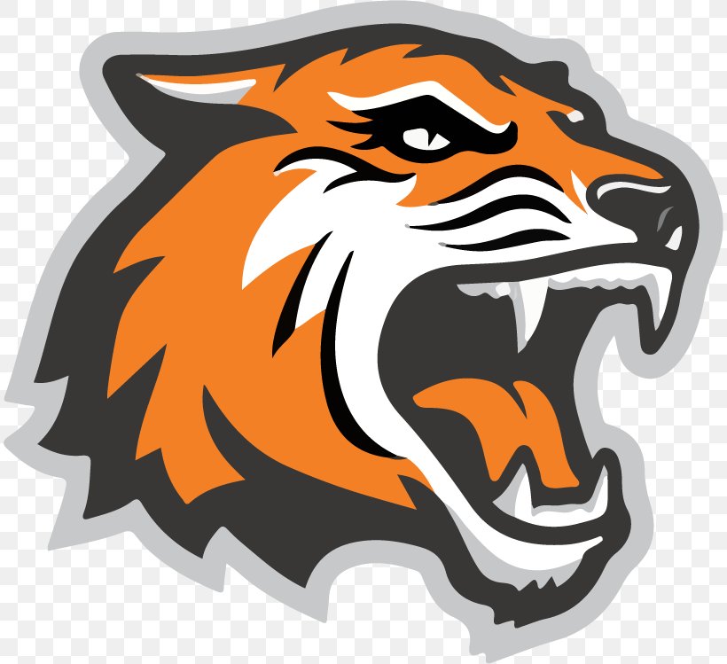 Rochester Institute Of Technology Tigers Men's Basketball RIT Tigers Women's Ice Hockey NCAA Division III Men's Lacrosse Championship, PNG, 812x749px, Rochester Institute Of Technology, Big Cats, Carnivoran, Cat Like Mammal, College Download Free
