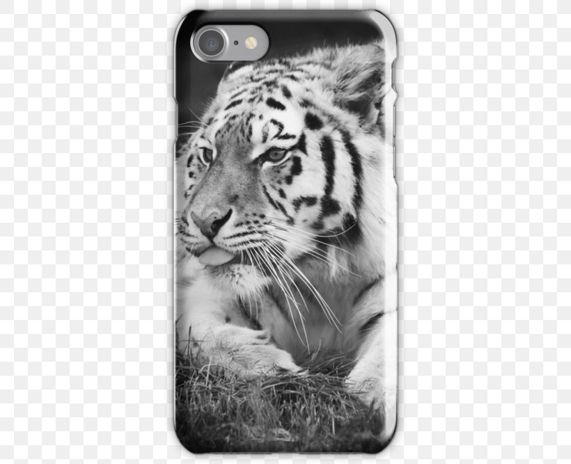Tiger Whiskers Cat Roar Wildlife, PNG, 500x667px, Tiger, Animal, Big Cat, Big Cats, Black And White Download Free