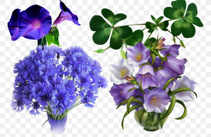 Floral Design Flower Bouquet Cut Flowers, PNG, 800x533px, Floral Design, Annual Plant, Bellflower Family, Blue, Cut Flowers Download Free