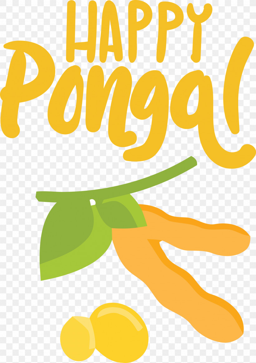 Pongal Happy Pongal Harvest Festival, PNG, 2115x3000px, Pongal, Commodity, Flower, Happy Pongal, Harvest Festival Download Free