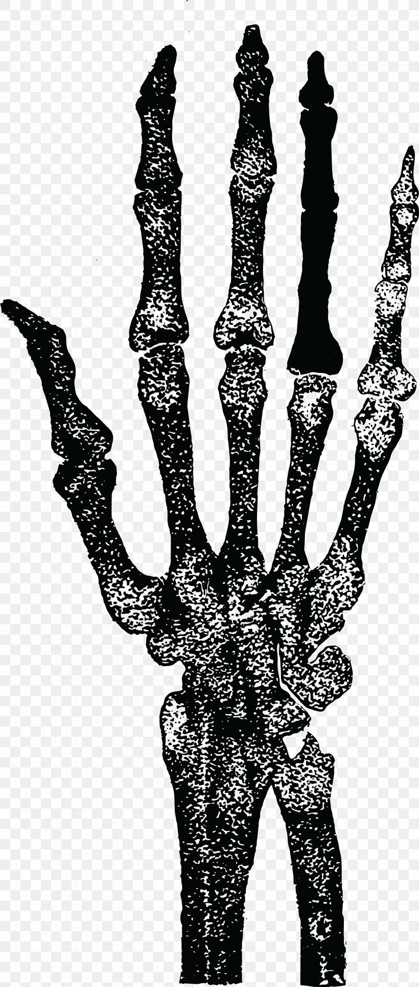 Human Skeleton Finger Hand Human Anatomy, PNG, 4000x9413px, Skeleton, Anatomy, Black And White, Bone, Elbow Download Free