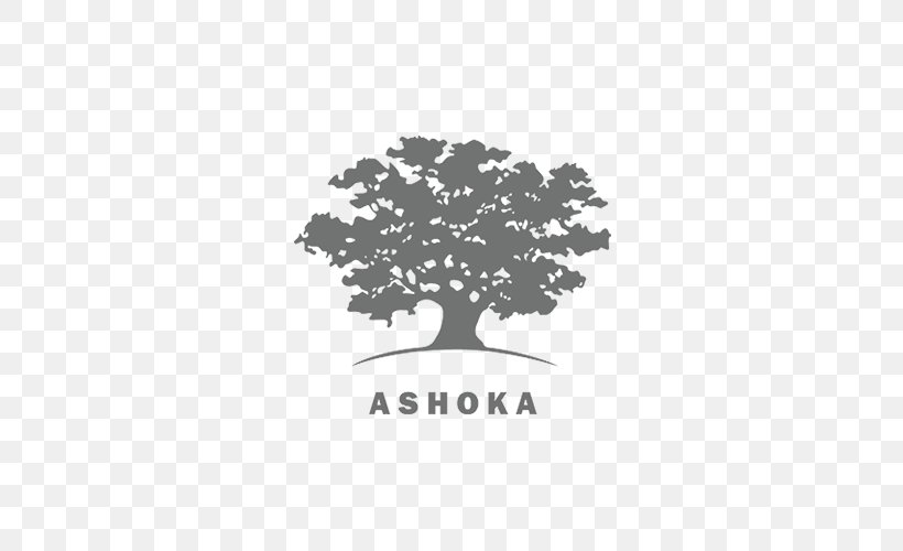 Leading Social Entrepreneurs Social Entrepreneurship Ashoka: Innovators For The Public Organization, PNG, 500x500px, Social Entrepreneurship, Ashoka Innovators For The Public, Black, Black And White, Branch Download Free