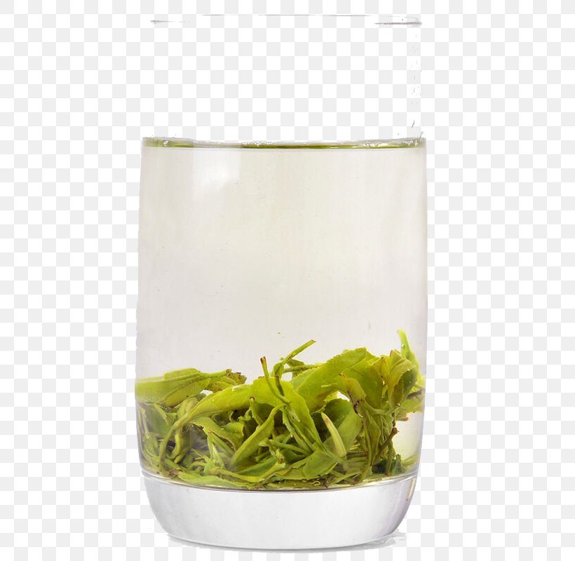 Longjing Tea Green Tea Lapsang Souchong Ginger Tea, PNG, 800x800px, Tea, Black Tea, Cup, Designer, Flowerpot Download Free