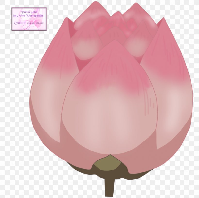Nelumbo Nucifera Flower Petal, PNG, 897x890px, Watercolor, Cartoon, Flower, Frame, Heart Download Free