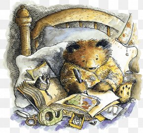 Bear - Paddington Little Library Bear Book Ozon.ru Author PNG