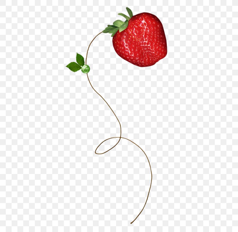 Strawberry Berries Clip Art, PNG, 367x800px, Strawberry, Berries, Berry, Food, Fruit Download Free