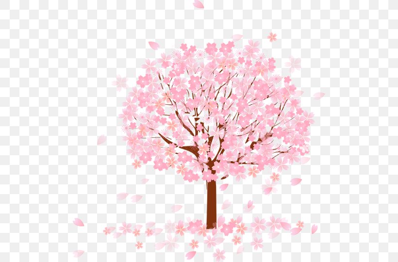Tree Cherry Blossom, PNG, 521x540px, Tree, Blossom, Branch, Cherry Blossom, Floral Design Download Free