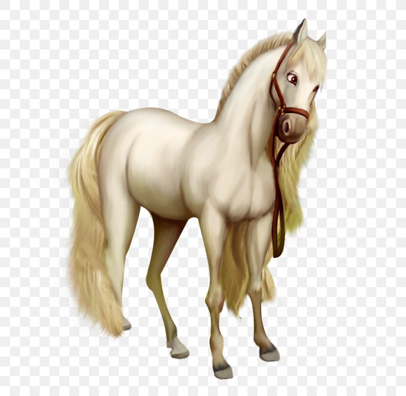 American Saddlebred Pony White Foal Clip Art, PNG, 643x800px, American Saddlebred, Black, Colt, Equus, Fictional Character Download Free