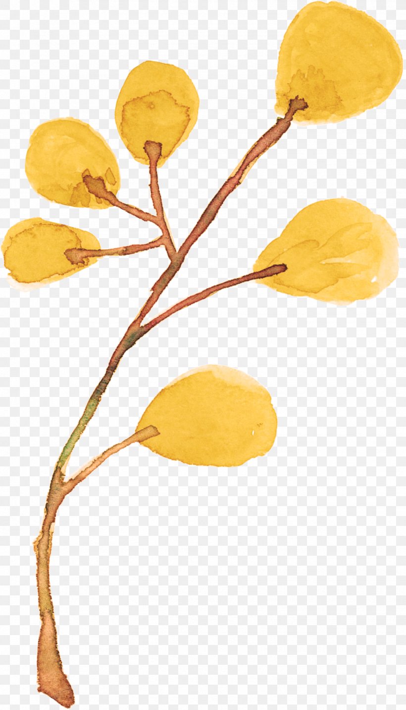 Painting Plant Drawing, PNG, 1541x2690px, Painting, Art, Botany, Branch, Color Download Free