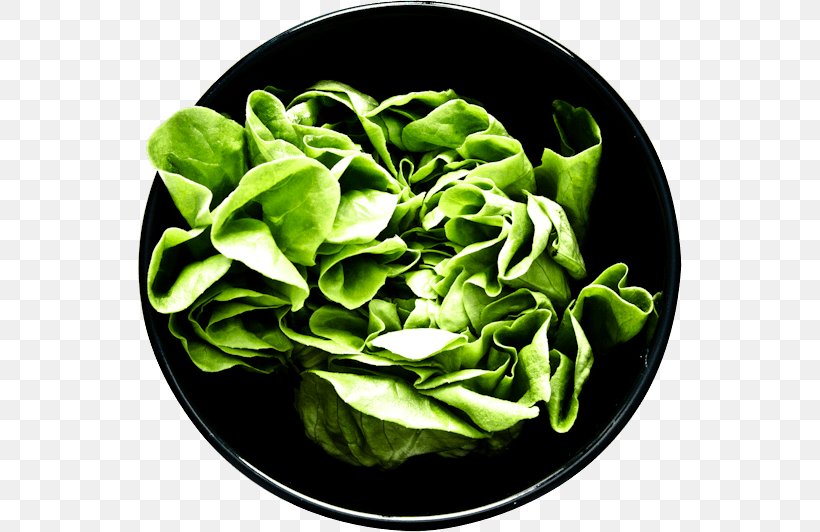 Spinach Artisanal Crepes & Waffles Lyrics Food Song, PNG, 544x532px, Spinach, Crepes Waffles, Food, Gastronomy, Herb Download Free