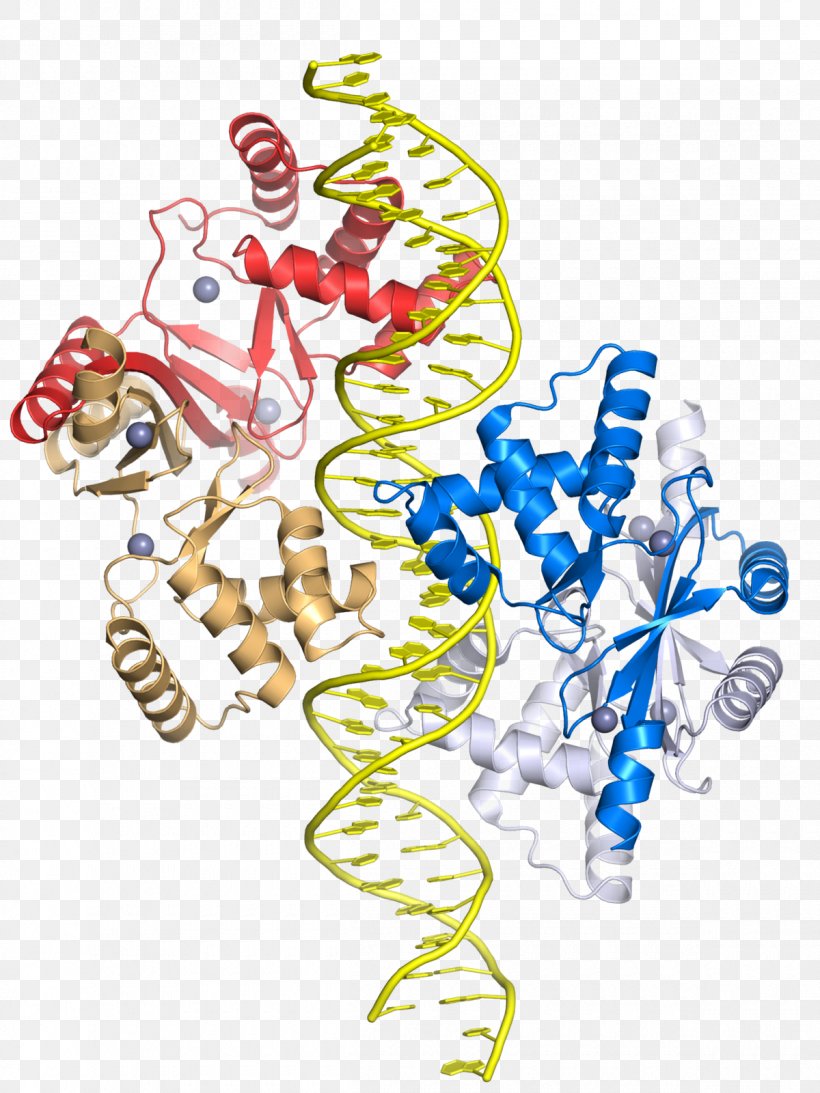Zinc Uptake Regulator Transcription Factor Gene, PNG, 1200x1600px, Watercolor, Cartoon, Flower, Frame, Heart Download Free
