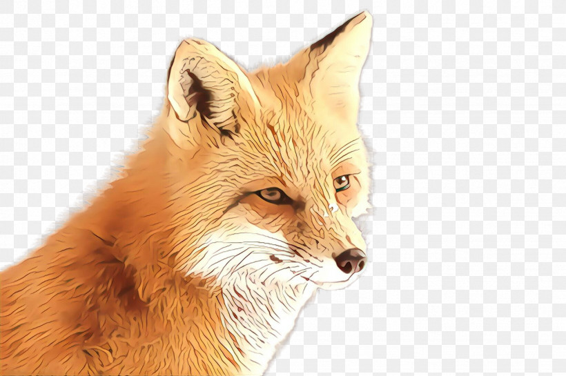 Red Fox Fox Fennec Fox Wildlife Swift Fox, PNG, 2452x1632px, Red Fox, Fennec Fox, Fox, Snout, Swift Fox Download Free