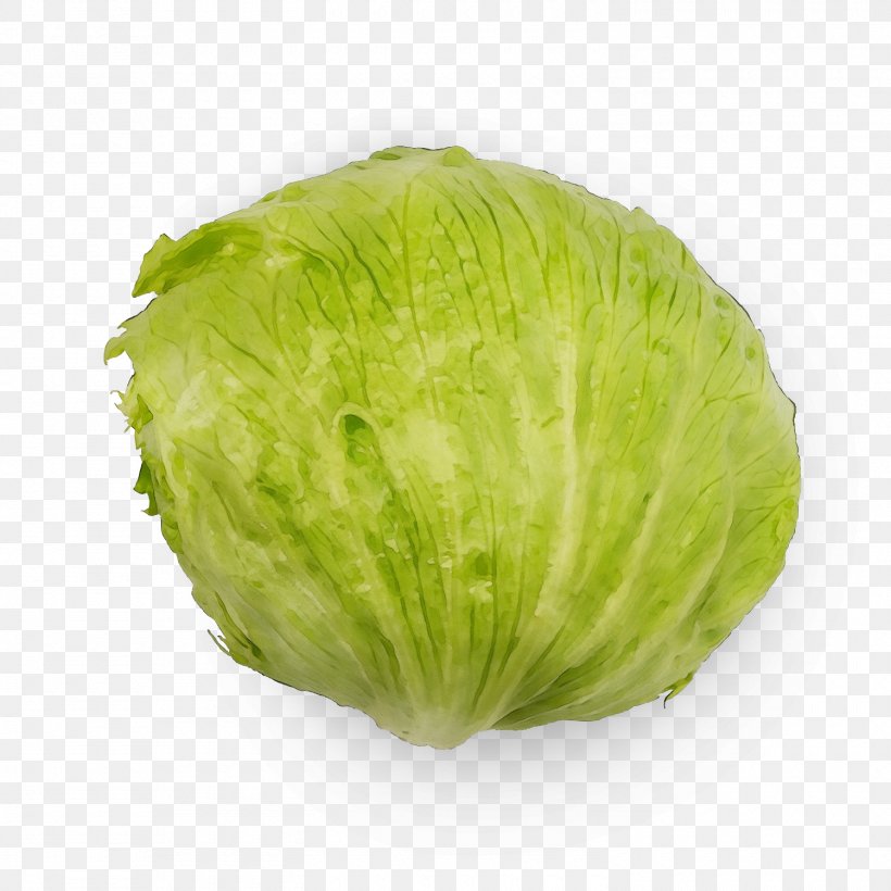 Cabbage Iceburg Lettuce Vegetable Lettuce Leaf Vegetable, PNG, 1500x1500px, Watercolor, Cabbage, Food, Iceburg Lettuce, Leaf Vegetable Download Free
