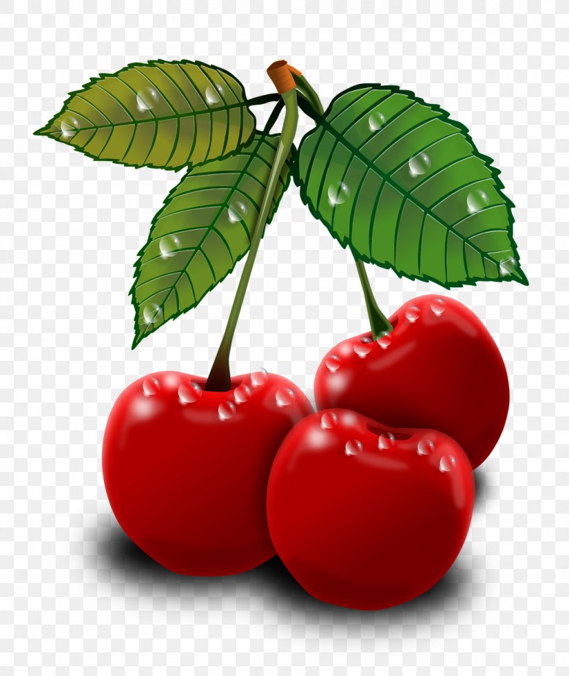 Cherry Clip Art, PNG, 1077x1280px, Cherry, Accessory Fruit, Acerola, Acerola Family, Berry Download Free