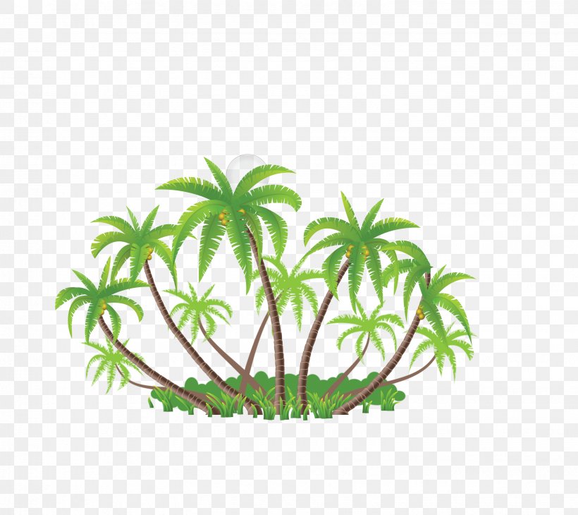 Coconut Arecaceae Euclidean Vector Illustration, PNG, 3062x2729px, Coconut, Arecaceae, Branch, Flora, Flower Download Free