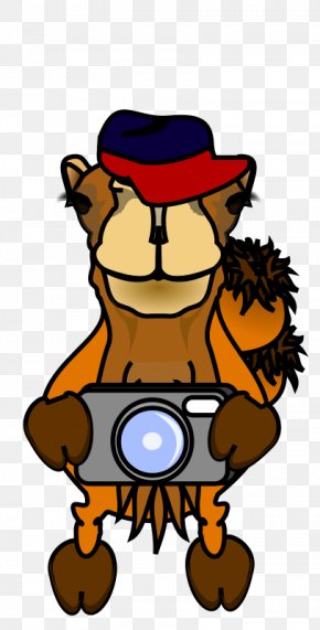 Photographer - Photography Comics Photographer Clip Art PNG