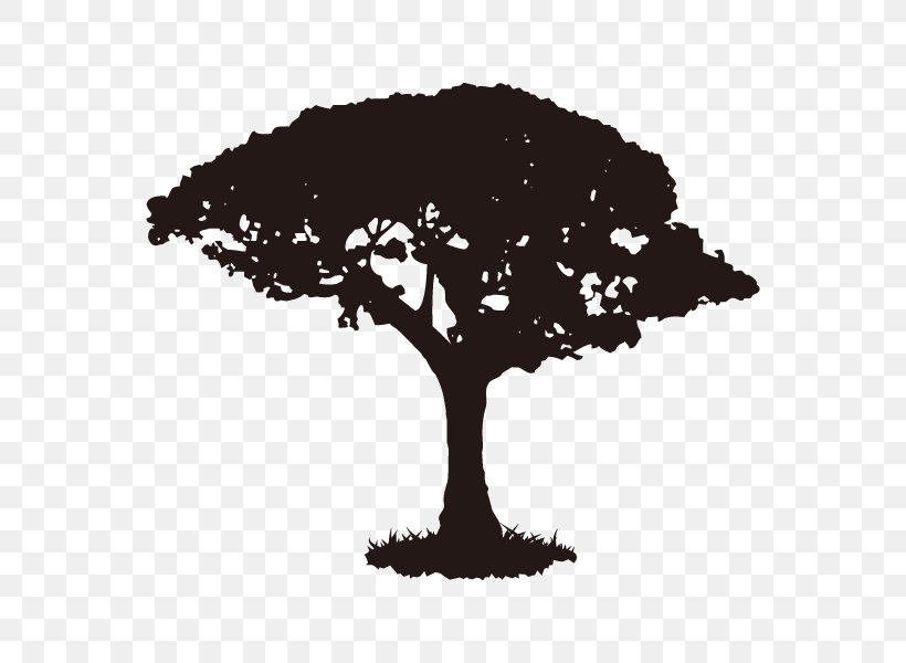Silhouette Walnut Tree Illustration YouTube, PNG, 600x600px, Silhouette, Africa, Black And White, Branch, Photography Download Free