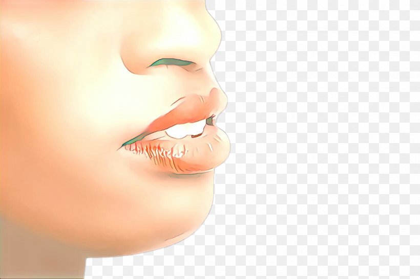 Face Nose Skin Lip Chin, PNG, 2448x1632px, Cartoon, Beauty, Cheek, Chin, Closeup Download Free