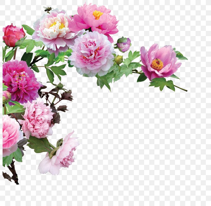 Flower, PNG, 800x800px, Flower, Animation, Artificial Flower, Blossom, Blume Download Free