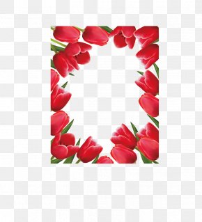 Tulips Vector - Flower Tulip Floral Design Clip Art PNG