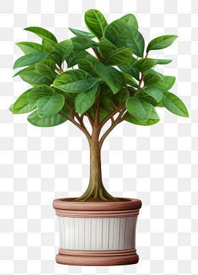 Bonsai Plant - Elegant Potted Tree With Lush Green Leaves PNG