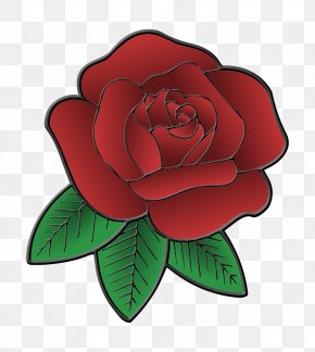 Rose - Garden Roses Leaf Flower Petal PNG