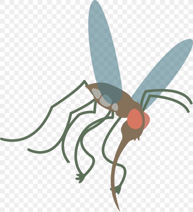 Mosquito Insect Vector Aedes Albopictus, PNG, 2799x3069px, Mosquito, Aedes Albopictus, Arthropod, Cartoon, Deviantart Download Free