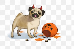 Puppy - Pug Puppy Dog Breed Companion Dog Toy Dog PNG