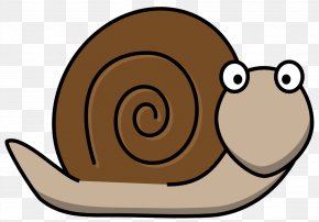 Cartoon Snail - Sea Snail Free Content Clip Art PNG