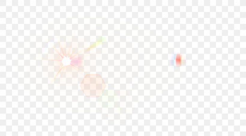Desktop Wallpaper Petal Close-up, PNG, 1600x889px, Petal, Close Up, Closeup, Orange, Peach Download Free