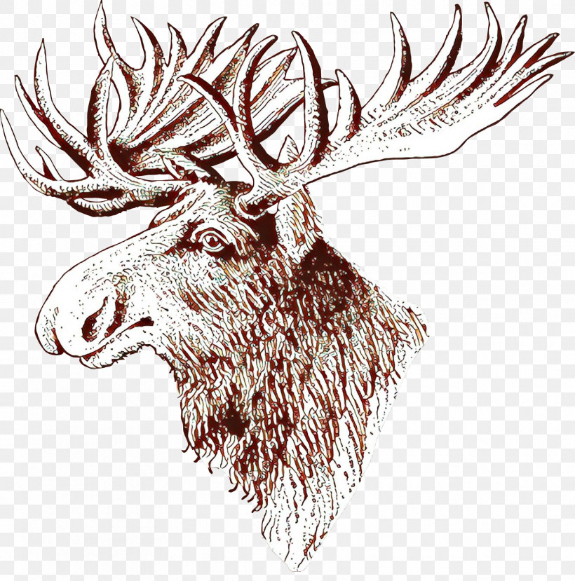 Head Elk Drawing Horn Line Art, PNG, 1765x1786px, Head, Antler, Deer, Drawing, Elk Download Free