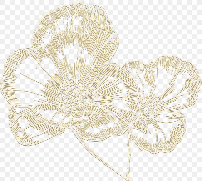 Petal Floral Design Cut Flowers, PNG, 1835x1649px, Petal, Cut Flowers, Floral Design, Flower, Flowering Plant Download Free