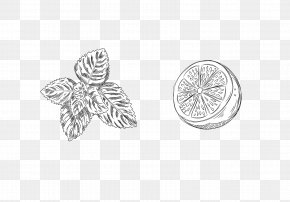 Stick Figure Mint Leaves - Water Mint Lemonade Mentha Spicata Mentha Xd7rotundifolia PNG