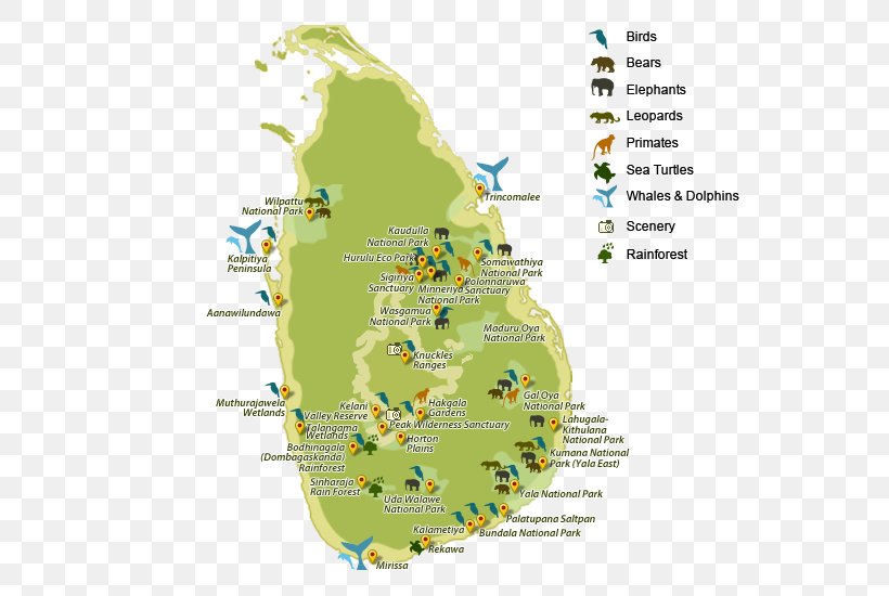 Yala National Park Sinharaja Forest Reserve Udawalawe Bandipur National Park, PNG, 620x550px, Yala National Park, Area, Bandipur National Park, Diagram, Ecoregion Download Free