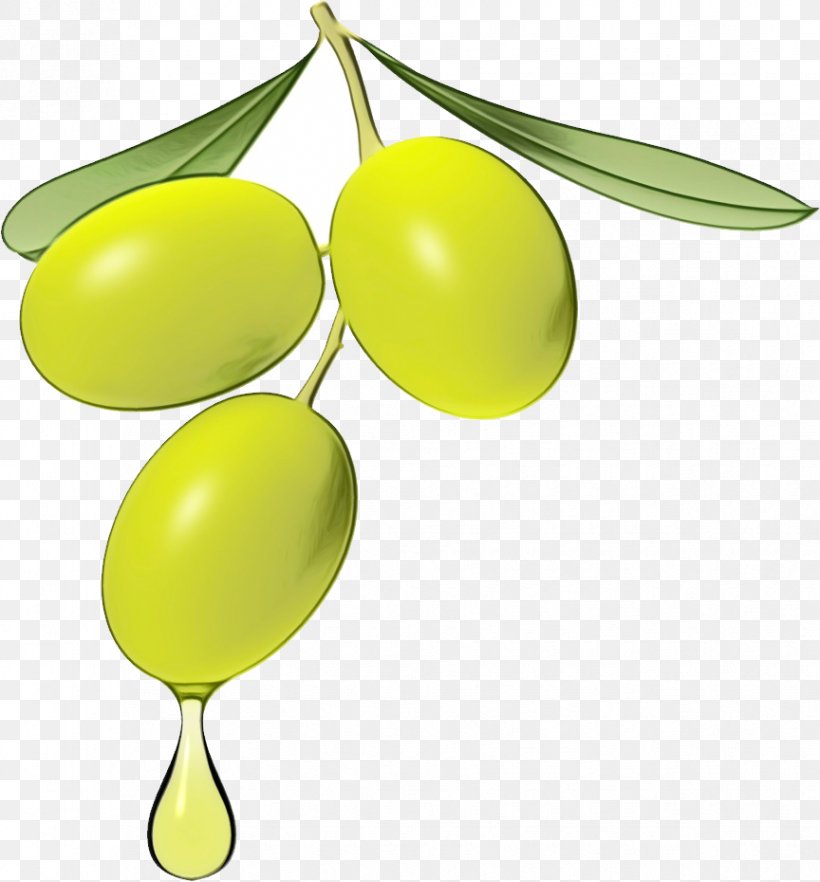 Yellow Olive Fruit Plant Leaf, PNG, 864x930px, Watercolor, Fruit, Leaf, Olive, Paint Download Free