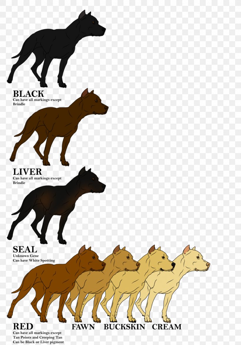 Canidae Cat Horse Dog Mammal, PNG, 1024x1464px, Canidae, Animal, Carnivoran, Cat, Cat Like Mammal Download Free